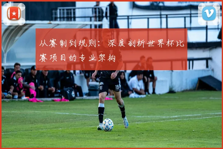 从赛制到规则：深度剖析世界杯比赛项目的专业架构