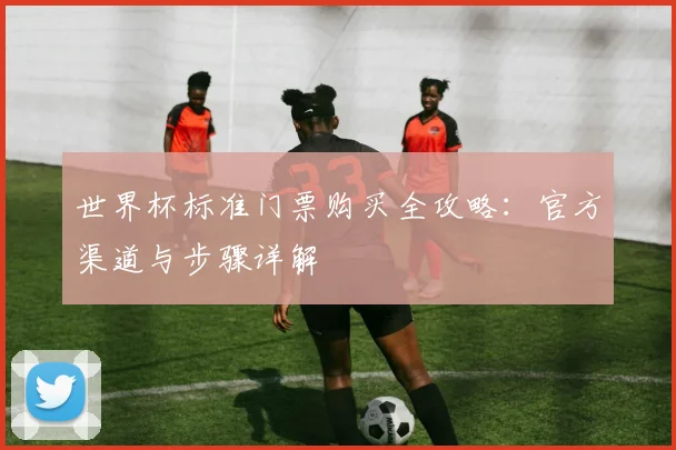 世界杯标准门票购买全攻略：官方渠道与步骤详解
