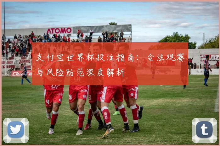 支付宝世界杯投注指南:合法观赛与风险防范深度解析