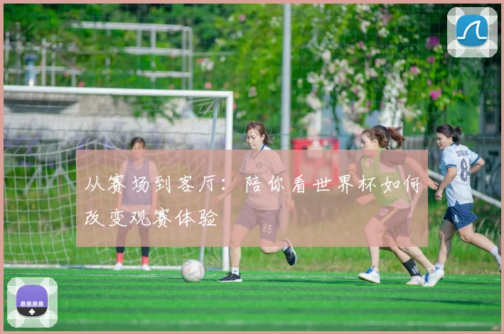 从赛场到客厅：陪你看世界杯如何改变观赛体验