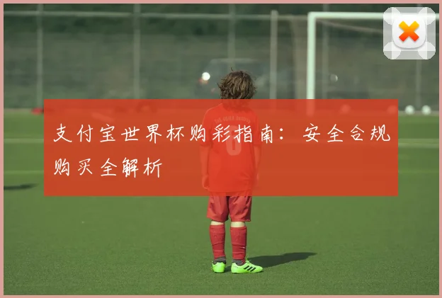 支付宝世界杯购彩指南:安全合规购买全解析
