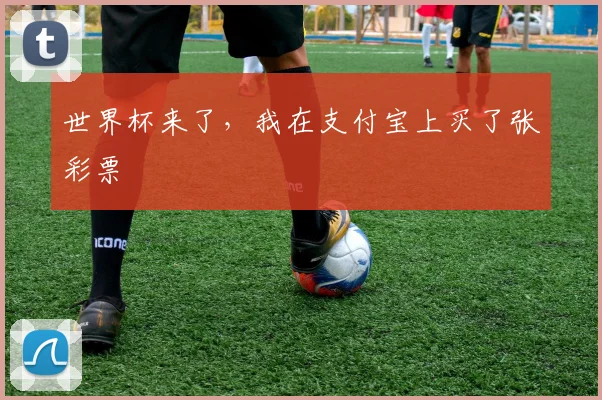 世界杯来了，我在支付宝上买了张彩票