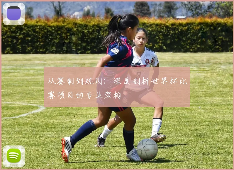 从赛制到规则：深度剖析世界杯比赛项目的专业架构